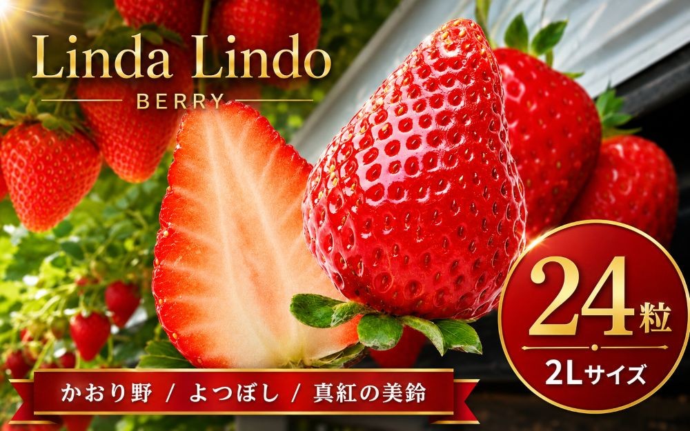 
                  【先行予約】Linda Lindo BERRY 2Lサイズ 12粒x2 計24粒（2027年1月中旬ころより順次発送予定） | いちご 苺 イチゴ かおり野 よつぼし 深紅の美鈴 朝摘み 農家直送 岐阜県 北方町
                