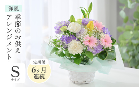 定期便 ≪6ヶ月連続お届け≫ 季節のお供えフラワーアレンジメント S【洋風】花束 生花 [E-20704_01]