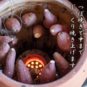 冷凍 焼き芋  選抜 紅はるか やきいも 2kg 【田條園】