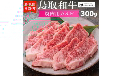 鳥取和牛 焼肉用カルビ（300g）【やまのおかげ屋】HN012-001