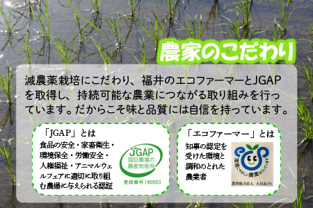 【令和7年産・新米】 【6ヶ月連続お届け定期便】おおかわさんちのコシヒカリ 10kg × 6回 計60kg  [O-10803]