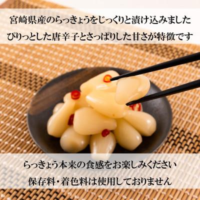 ふるさと納税 三股町 【2ヵ月毎定期便】純国産ぴり辛らっきょう(130g×10袋)総量約3.9kg【MI397】全3回 |  | 01