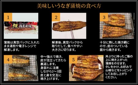 蒲焼き 備長炭手焼き 宮崎市佐土原産 和匠うなぎの蒲焼き4尾セット(計660g&たれ・山椒付き)　鰻蒲焼 ウナギ