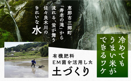 こしひかり 6㎏ 白米 恵那 / お米 こめ コシヒカリ / 恵那市 / おこめのささき[AUAT001]