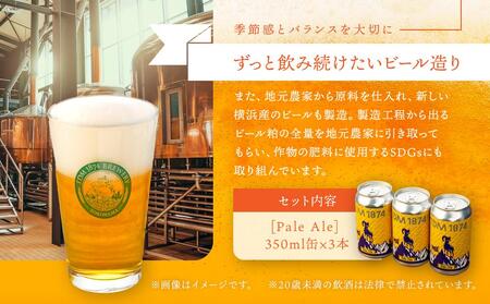 TDM 1874 Brewery クラフトビール Pale Ale ペールエール (350ml×3本)【お酒・地ビール・酒】 ABG0008