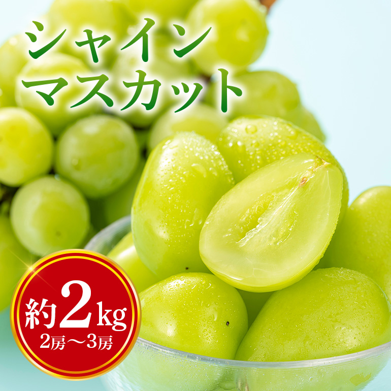 【数量限定・期間限定】 シャインマスカット 約2kg（2房～3房） 54-A
