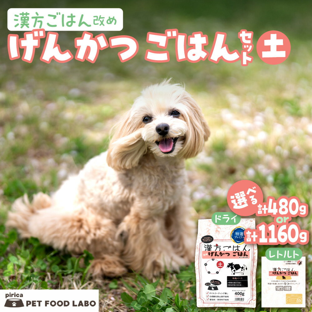 【ふるさと納税】 ペットフード 犬 げんかつごはん 【 選べる 容量 】 漢方ごはん 土 ドライタイプ レトルト 計480g 計1160g セット 愛犬用 ノンオイルコーティング 食養生 薬膳 総合栄養食 安心素材 北海道食材 漢方食材 着色料 保存料 酸化防止剤不使用 北海道 札幌市