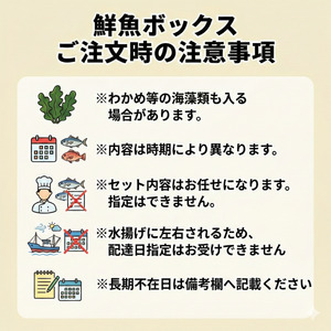 下処理なし 朝獲れ 鮮魚ボックス お試し3～4種 鮮魚