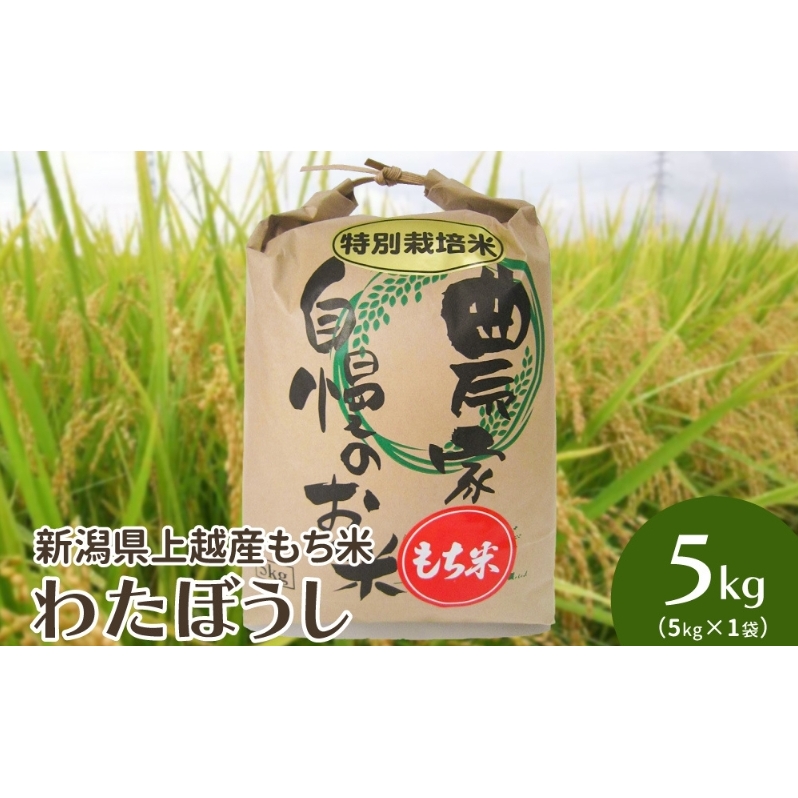 令和7年・新潟県上越産|もち米「わたぼうし」新潟県特別栽培米|5kg(白米)