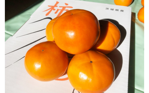 【2026年10月下旬より順次発送】【数量限定】富有柿 L 16玉【茨城県共通返礼品/石岡市】【水戸市 茨城県 カキ 柿 フルーツ 果物 くだもの 富有柿 ジューシー 甘い】（IU-9）