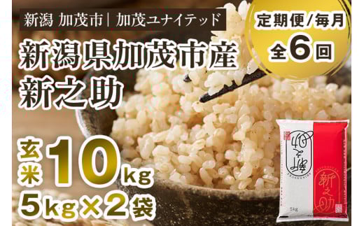 【令和7年産新米先行予約】【定期便6ヶ月毎月お届け】新潟県産 新之助 玄米10kg 《5kg×2袋》《10月上旬から順次発送》 新潟 ブランド米 加茂市 加茂ユナイテッド
