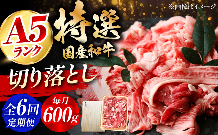 
            【全6回定期便】国産和牛切落し 600ｇ 肉 お肉 国産 和牛 切り落とし 冷凍 ギフト ストック A5ランク 肉 お肉 国産 和牛 牛肉 切り落とし 冷凍 ギフト ストック 大阪府高槻市/株式会社ミートモリタ屋 [AOAI024]
          