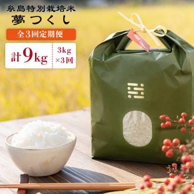 ふるさと納税 糸島市 【全3回定期便】糸島特別栽培米3kg夢つくしitoshimacco[ARJ023]