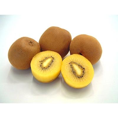 ふるさと納税 三豊市 さぬきゴールドキウイ　3kg