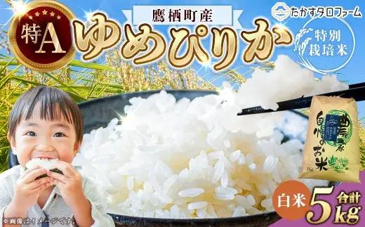  【令和7年産】 ゆめぴりか （白米）  5kg 北海道 鷹栖町 たかすタロファーム 米 コメ こめ ご飯 白米 お米 ゆめぴりか コメ 