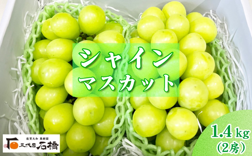 
                  石橋果樹園 シャインマスカット 1.4kg
                