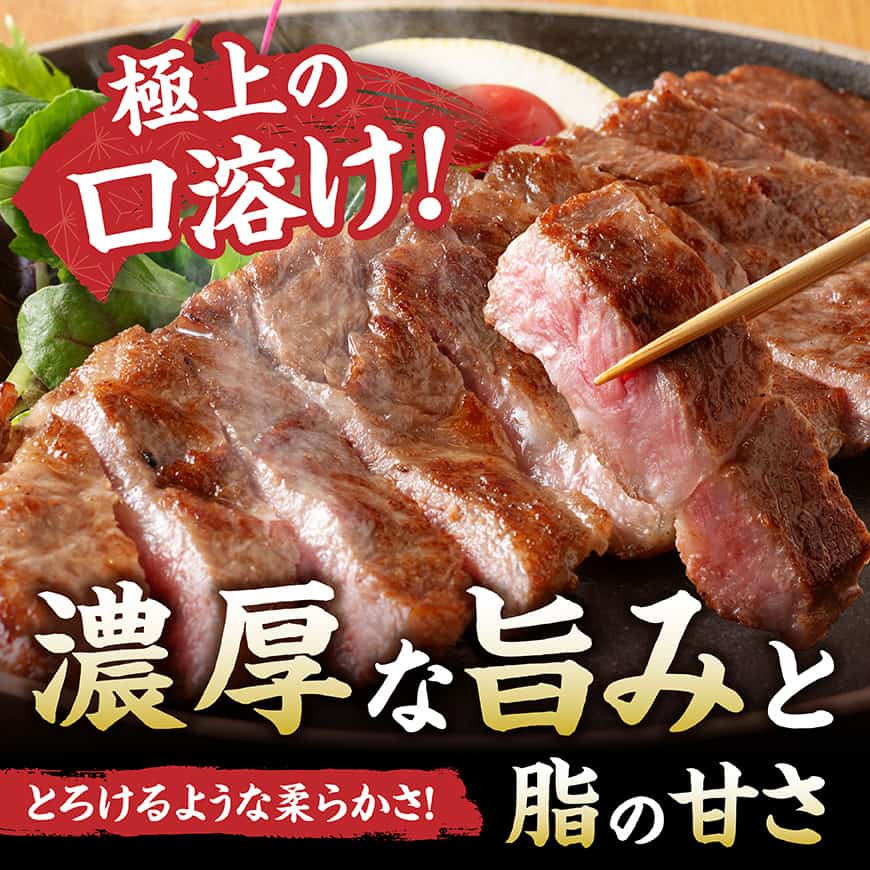  【A5等級】【新鮮チルド便】宮崎牛特選サーロインステーキ　600g【 肉 宮崎 ステーキ 牛肉 おかず A5 】 [B13206] 600g