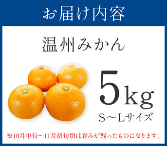 「濃厚な味のとろける美味しさ」温州みかん 5kg