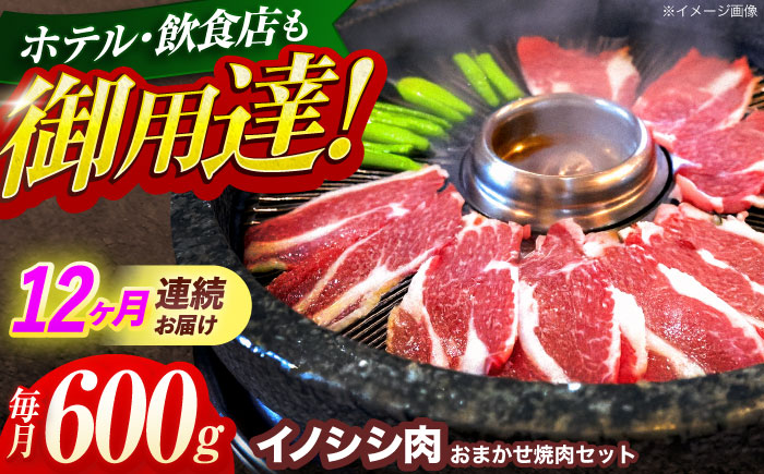 【12回定期便】ジビエ 天然イノシシ肉 おまかせ焼肉セット 600g （ロース・モモ・バラ）【照本食肉加工所】 [OAJ030] / 肉 猪 猪肉 イノシシ イノシシ肉 いのしし しし肉 しし鍋 ボタ