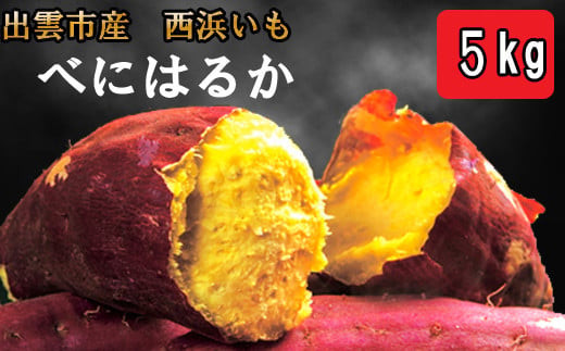 
                  西浜いも（べにはるか）5kg
                