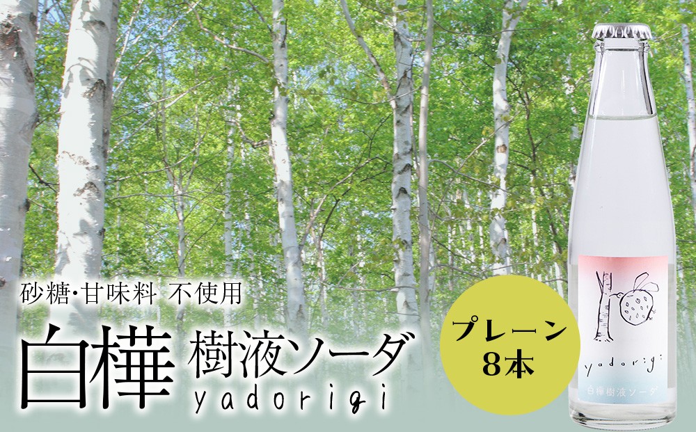 
                  白樺樹液ソーダyadorigi（プレーン）8個 北海道産 国産
                