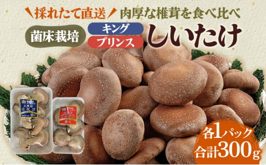 
                  北海道産 厚岸町 上尾幌 菌床栽培 キングしいたけ プリンスしいたけ 各1パック  [№5863-1112]
                