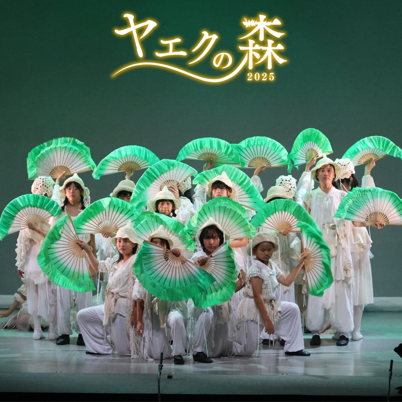 ミュージカル『探偵 明智沙羅の事件簿』 公演チケット ＜11時／おとな＞  河内長野市 ラブリーホール・大ホール 2026年8月9日（日）| 大ホール 窓口引換 当日有効 8月イベント 週末お出かけ 