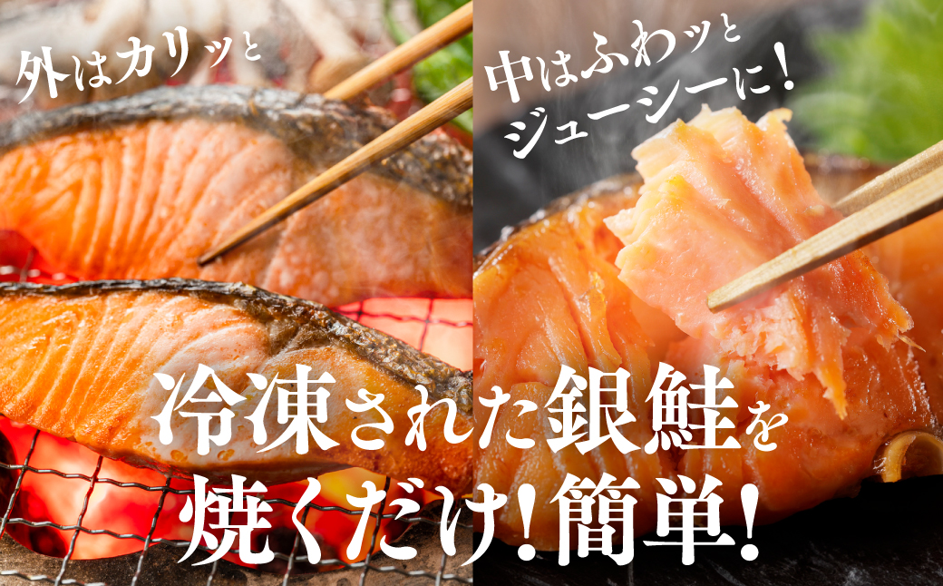 【訳あり】 銀鮭 切り身 たっぷり合計 1kg （鮭 塩鮭 サケ サーモン 甘塩 切身 切り身 大容量 人気の鮭 カマ 希少 魚 鮮魚 冷凍）