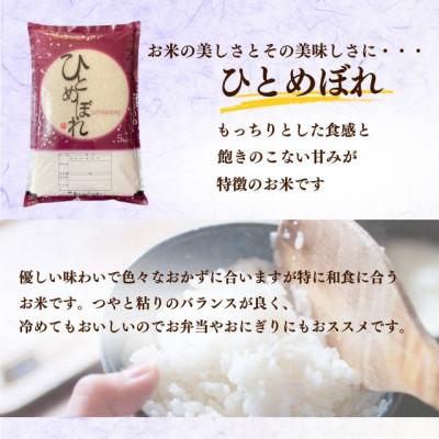 ふるさと納税 西郷村 新米先行予約【令和8年産】ひとめぼれ　精米5kg　一等米!　米　西郷村　農家直送 |  | 01