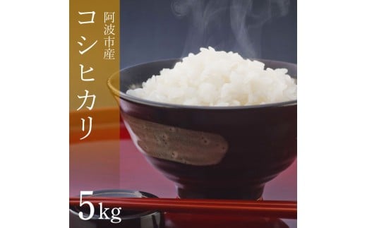 コシヒカリ 5kg 令和7年産 米 こめ ご飯 ごはん おにぎり 白米 精米 新米 卵かけご飯 食品 備蓄 備蓄米 保存 防災 ギフト 贈答 プレゼント お取り寄せ グルメ 送料無料 徳島県 阿波市 栗栖農園