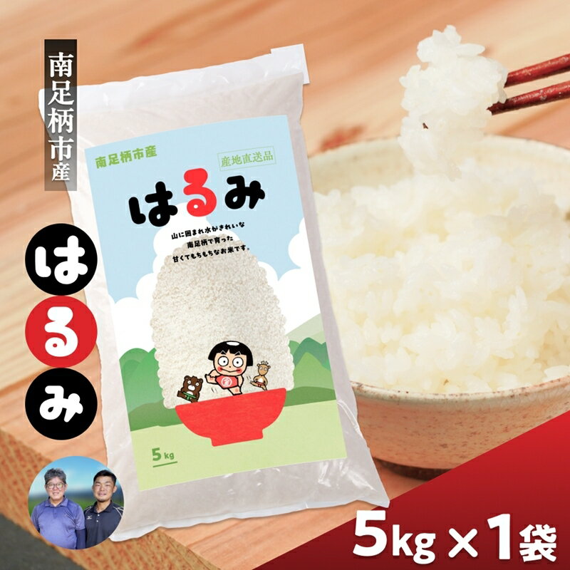 【ふるさと納税】令和7年 新米 南足柄産のブランド米「はるみ(精米)」 5kg×1袋 ＜出荷時期：2025年10月末頃より順次出荷予定＞【 新米 新米予約 7年産 お米 神奈川県 南足柄市 】