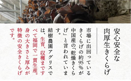 【全12回定期便】結樹農園 アグリス めんたい きくらげ 300g 《糸島》【結樹農園アグリス】きくらげ/国産/明太/明太子[AAJ007]