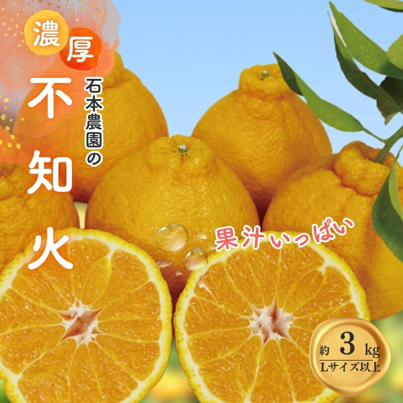 【ふるさと納税】 不知火 石本農園の 不知火 3kg Lサイズ以上【2026年3月初旬から下旬までに順次発送】 デコポン みかん ミカン 蜜柑 柑橘 果物 くだもの フルーツ 予約 人気 ジューシー 甘い 産地直送 送料無料