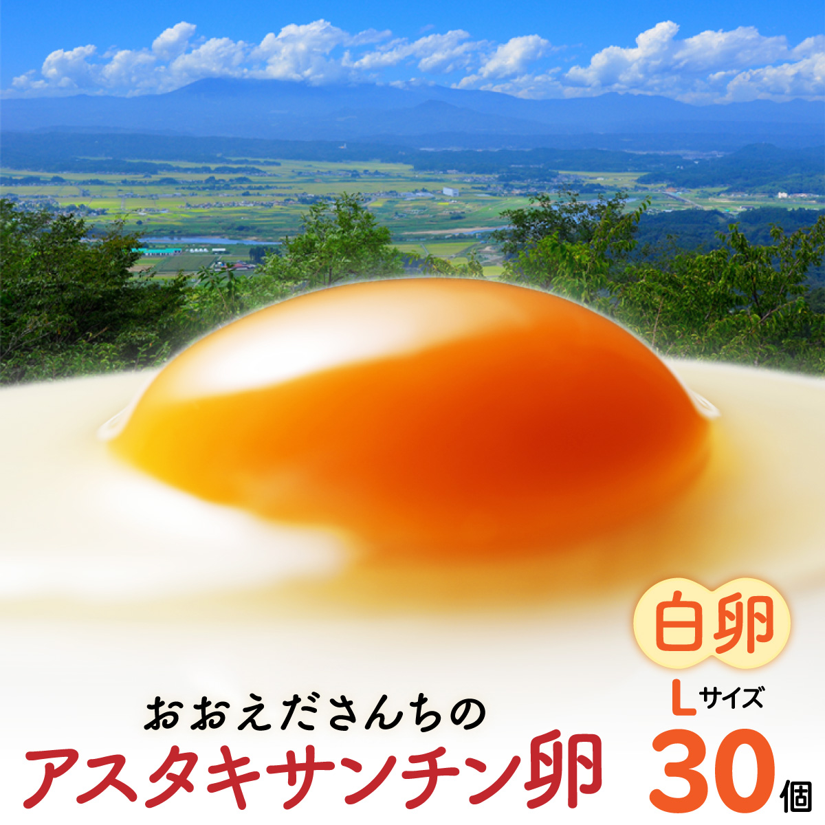 卵 生卵 おおえだファーム 御皇卵 アスタキサンチン卵（白卵）Lサイズ 30個入り｜アスタキサンチン卵 30個 美肌 抗酸化 宮城県角田市育ち 生卵 たまご 玉子 たまごかけ TKG