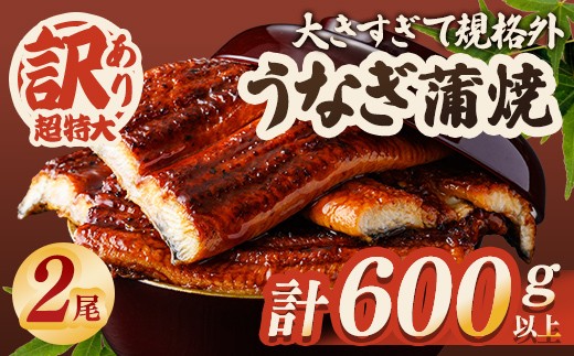 
                  ＜訳あり＞ うなぎ 蒲焼き 2尾 計600g以上 (1尾あたり300g～330g×2尾) 冷凍 たれ 山椒 鰻 ウナギ うな重 ひつまぶし かばやき 訳アリ 丑の日 茨城県 【そうざい男しゃく】【ho1685】
                