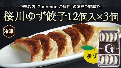 桜川 ゆず餃子 本格 中華 冷凍 餃子 オリジナル ギョウザ 焼餃子 セット お取り寄せ 手包み おつまみ おかず [BK005sa]