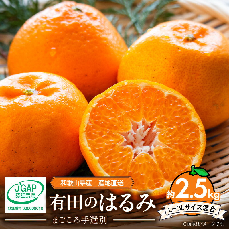 【ふるさと納税】【2027年先行予約】 和歌山県産 有田 はるみ 8～11玉 約2.5kg まごころ手選別 みかん 柑橘 和歌山 お取り寄せ 和歌山県 湯浅町 送料無料