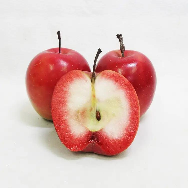 りんごチップス 25g×2袋 ノンフライりんごチップス 追熟 栄紅