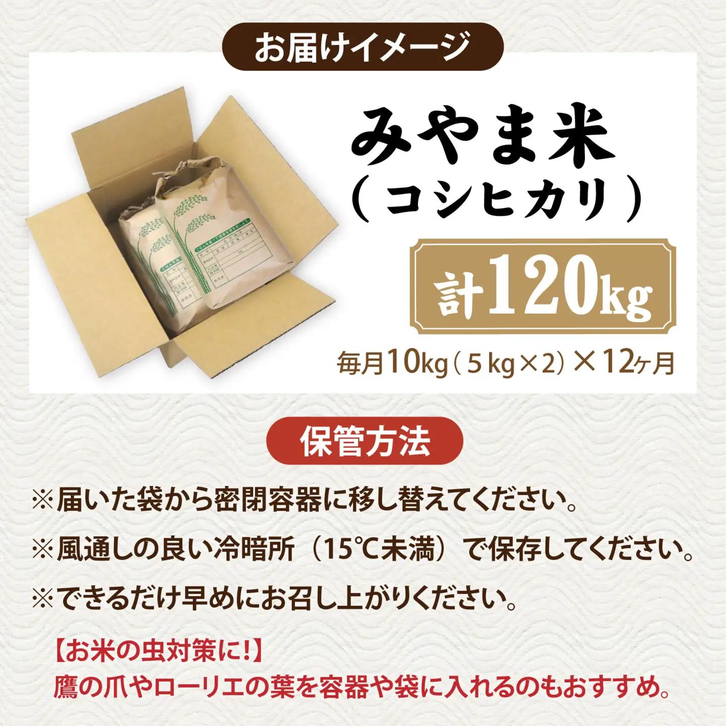 【先行予約】《定期便12ヶ月連続お届け》【みやま米】令和8年産 福井市産コシヒカリ10kg/天然の山水だけで育てたお米【2026年10月下旬以降順次発送予定】[P-168013] / 10kg 米 こ