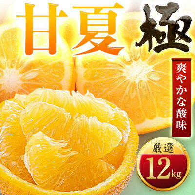 【ふるさと納税】【太陽をたっぷり浴びた】甘夏【極】12kg【F49-86】【1621798】
