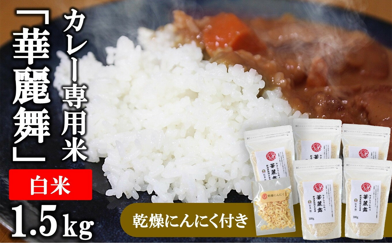 【ふるさと納税】【令和6年産新米】ヤタらうんめぇ カレー専用米 華麗舞 白米 1.5kg（300g×5袋）＆乾燥ニンニク 水田環境鑑定士在籍【 新潟県 柏崎市 】