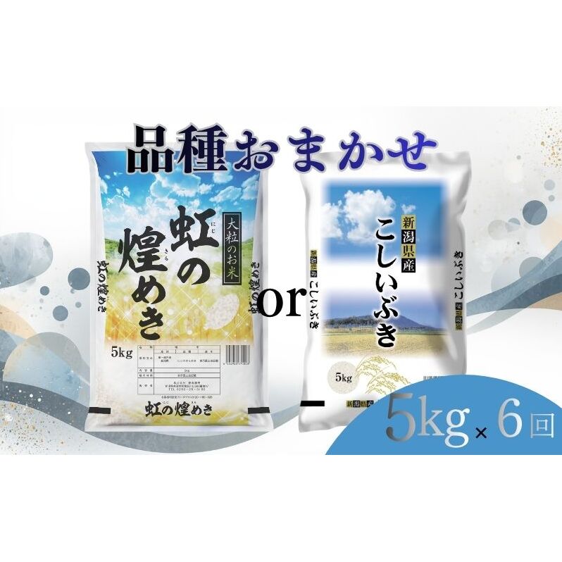 【ふるさと納税】【8月下旬より配送】 新潟県産 品種おまかせ 5kg 6か月定期便 新潟県 新潟市産 令和7年産 お米 精米 米 ご飯 送料無料　お届け：令和8年8月下旬から発送