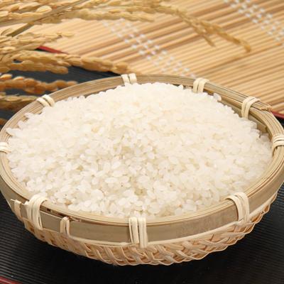 ふるさと納税 大潟村 あきたこまち特別栽培無洗米(精米)2kg |  | 01