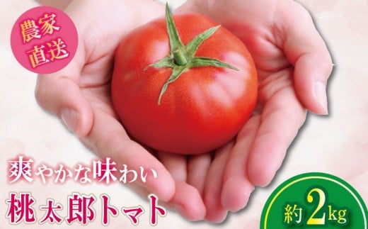 【2026年4月発送】 トマト 約2kg 桃太郎 先行予約  甘い 野菜 やさい 国産 産地直送 数量限定 旬 桃太郎トマト 生野菜 新鮮 ソース 調味料 ケチャップ サラダ 美容 新鮮 健康 お取り寄せ グルメ おすすめ 人気 徳島県 小松島市