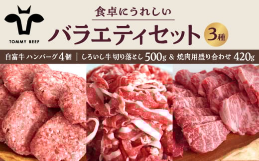 【牧場直送】食卓にうれしいバラエティ セット（白富牛 手ごねハンバーグ 4個＆切り落とし 500g＆焼肉用 420g）【佐賀セントラル牧場】佐賀県産 牛肉 お肉 肉 切り落とし ハンバーグ 焼肉 九州 佐賀県 白石町 [IAH191]
