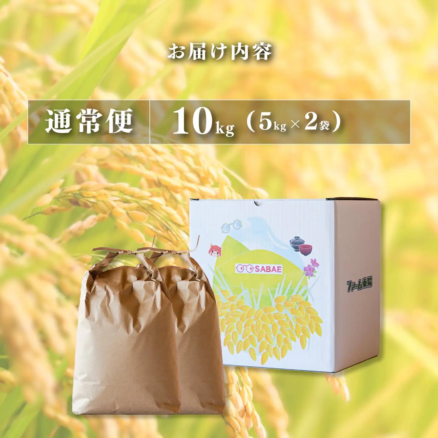 【先行予約】【2026年11月以降順次発送予定】令和8年産 新米 コシヒカリ 10kg（5kg×2袋）　お米　精米