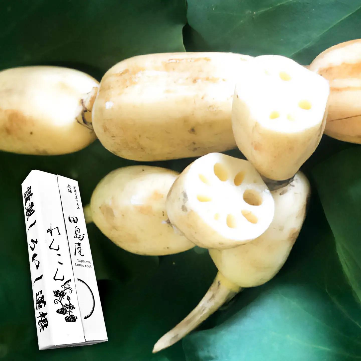2026年末発送/年内発送 れんこん（泥付き） 3kg / 先行予約 れんこん [IAV003]