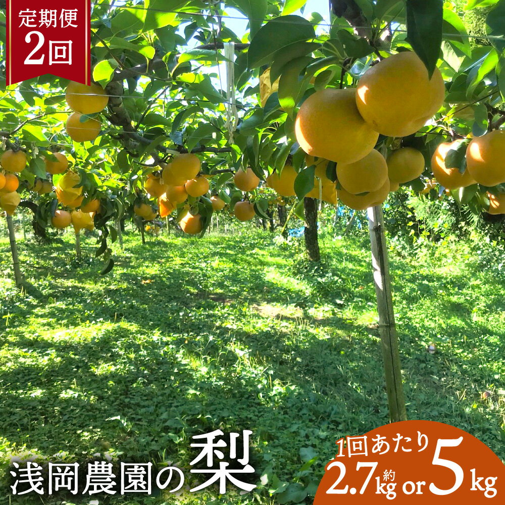 【ふるさと納税】浅岡農園の梨 ＜選べる内容量＞ ( 約2.7kg / 約5kg ) 梨 なし ナシ 和梨 果物 くだもの フルーツ 果実 果汁 送料無料 大分県 九重町 送料無料 【2回定期便 2026年9月・10月発送】