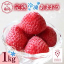 【ふるさと納税】完熟 冷凍 あまおう 1kg 糸島市 / slowberry strawberry[APJ006] 冷凍いちご 苺 9000円