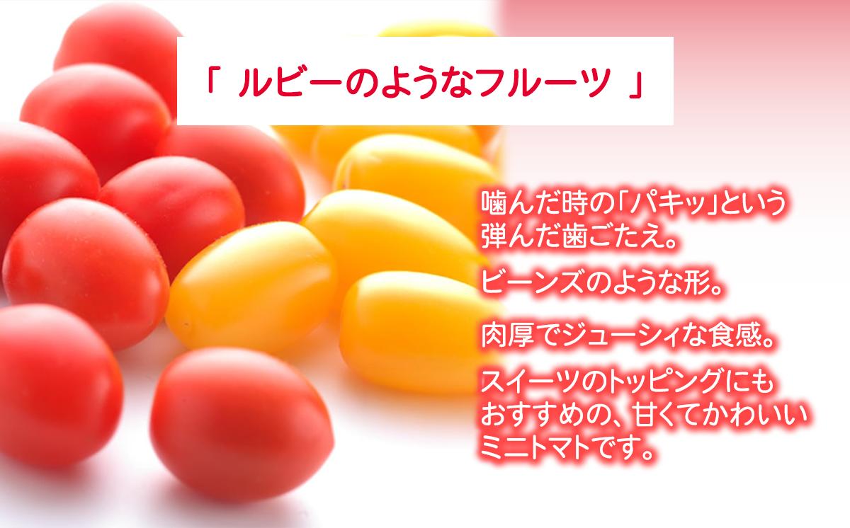 写真はイメージです。